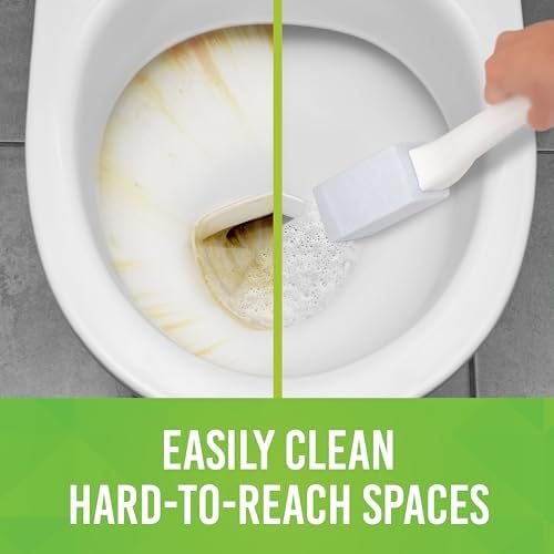 Summit Brands EarthStone Toilet Cleaning Block 2-Pack