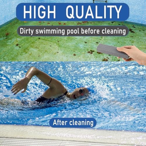 FAZMoss 6Pack Pumice Stone - Toilet Grills Cleaner