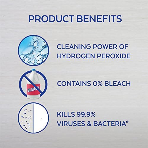 Lysol Bleach Free Toilet Bowl Cleaner 24 oz Pack of 4 1